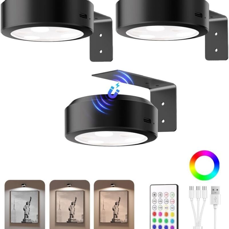 The Artisan Spotlight | Rechargeable Magnetic Picture Light